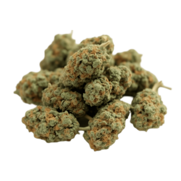 ภาพโทนใบไม้